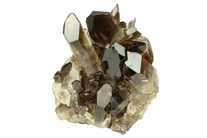 Dark Smoky Quartz Crystal Cluster - Brazil #302191